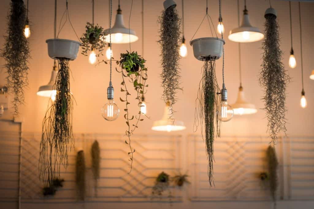 How to Make Grow Lights for Indoor Plants StepbyStep Guide