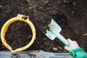 How to Test Soil pH Using A Tester, Strips, Vinegar, or Cabbage