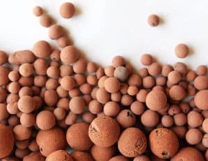 What are Hydroton Expanded Clay Pebbles, and How Do They Compare to Other Growing Media
