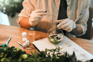 What Every Grower Must Know About Hydroponic Nutrient Solution