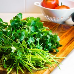 How To Grow Cilantro Indoors: Tips and Tricks for Success