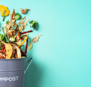 90+ Surprising Things You Can Compost for a Sustainable Future