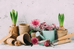 24 Best Indoor Gardening Tools That Are A Must-Have In 2023